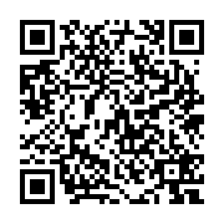 QR code for NIK-2295