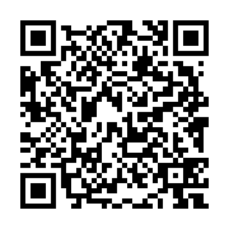 QR code for NIL-6393