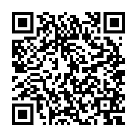 QR code for plate NIZ-2413