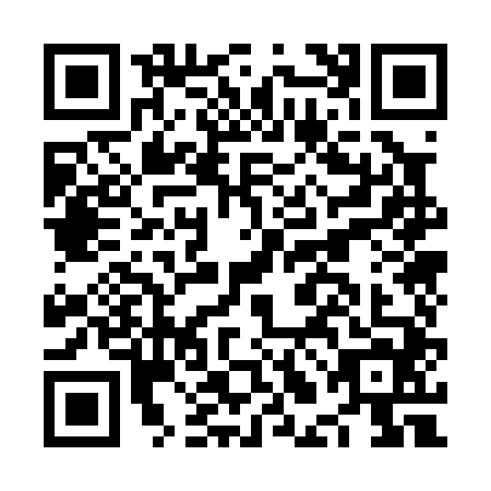QR code for NLO0446