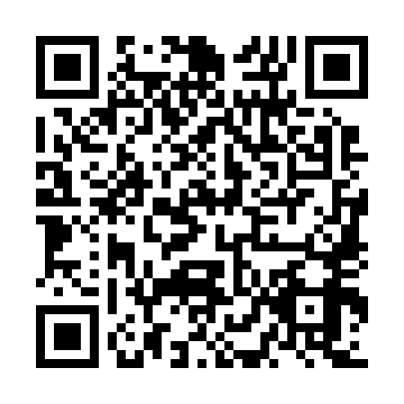 QR code for NLO2599
