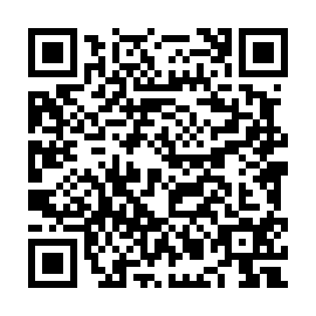 QR code for plate NML-4141