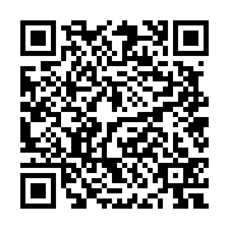 QR code for NNG-4339