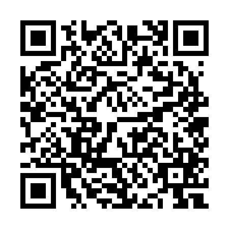 QR code for NNG2451