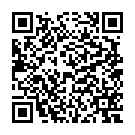 QR code for plate NNS-4550