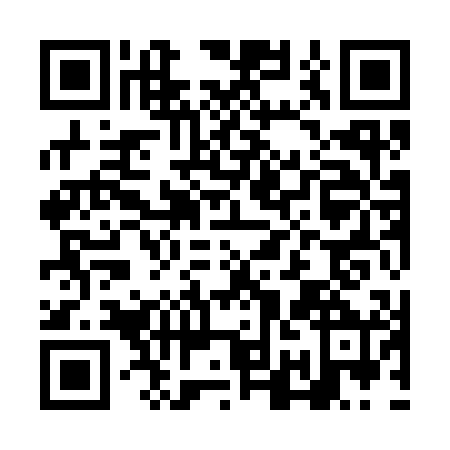 QR code for NOI-3004