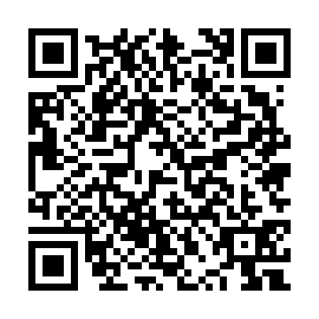 QR code for NPE-6313