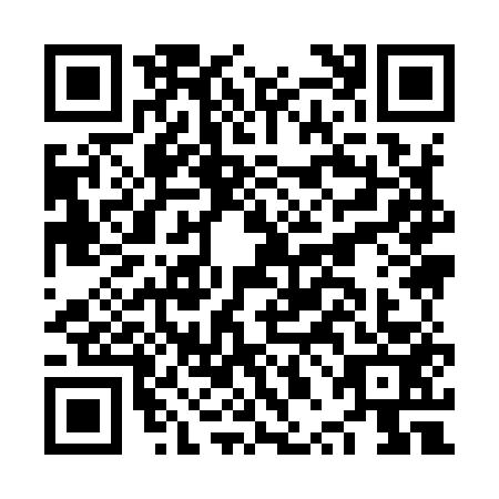 QR code for plate NPI-9539