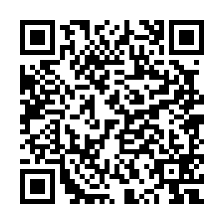 QR code for plate NPP-0996