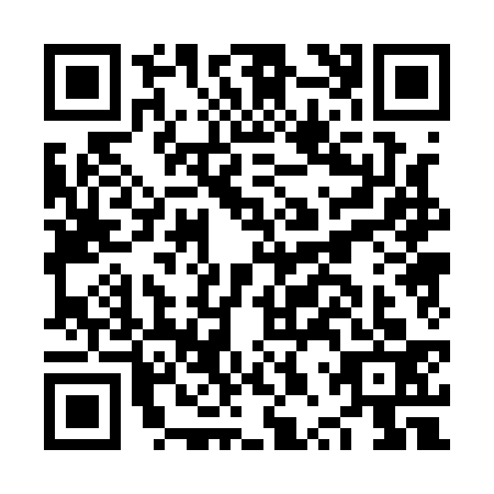 QR code for plate NPP-1335