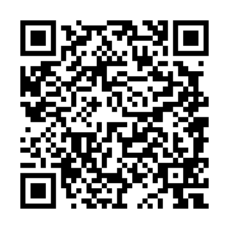 QR code for NQN-0993