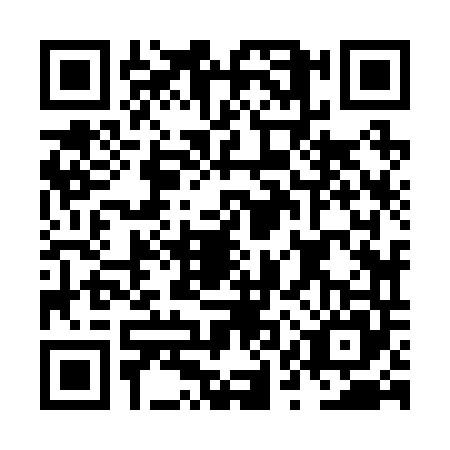 QR code for NQZ-2453