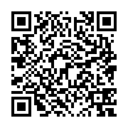 QR code for plate NSH-6385