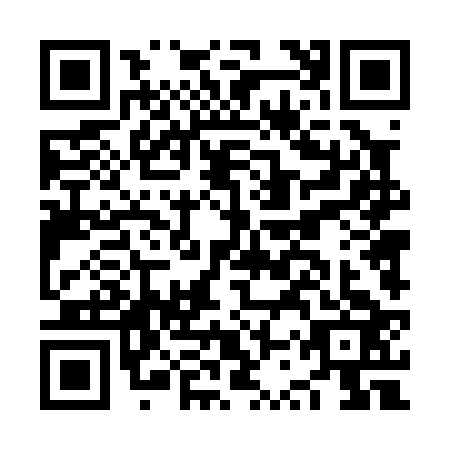 QR code for NST-0236