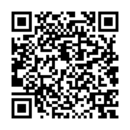 QR code for plate NSV-9302