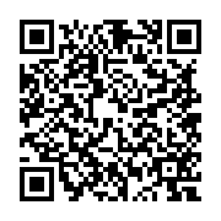 QR code for plate NUR-8568
