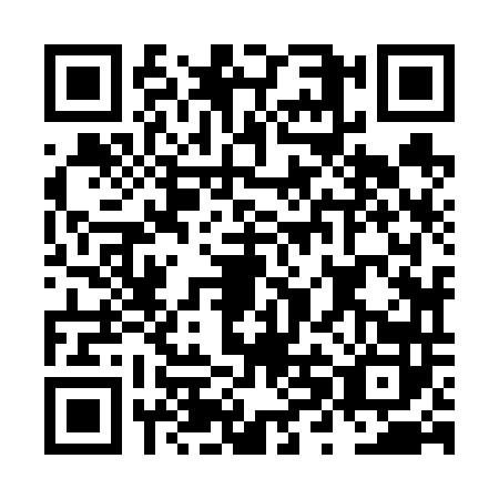 QR code for plate NXJ-6424