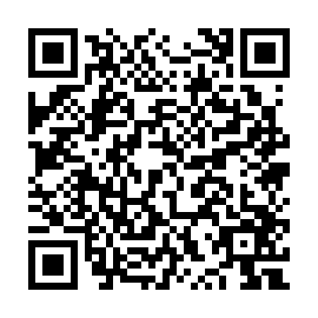 QR code for plate NXQ-3463