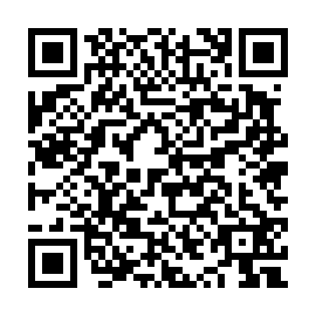 QR code for NYE-4227