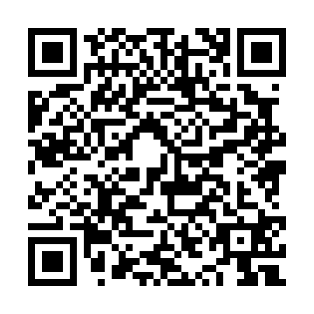 QR code for plate NYH-0203
