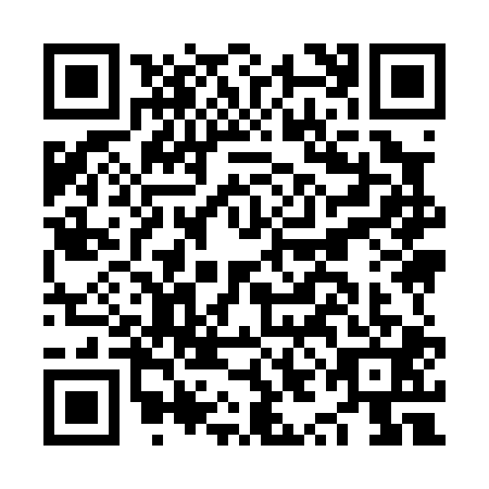 QR code for NYI-0013