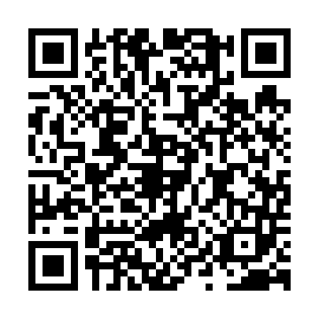 QR code for plate NYQ-6438