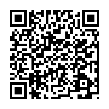 QR code for NYR9771
