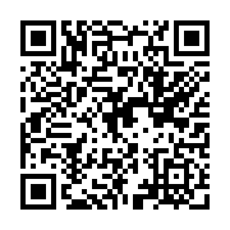 QR code for NYT-3197