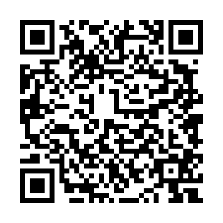 QR code for NYT4043