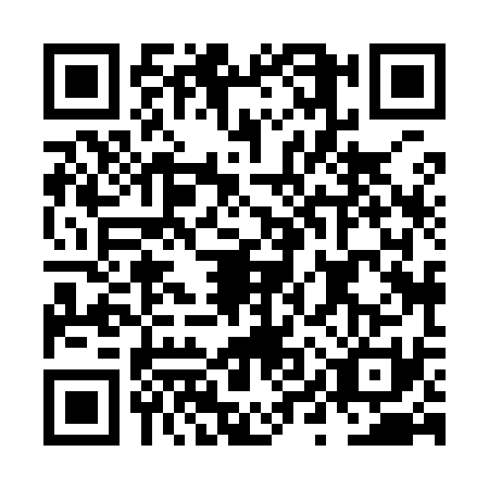 QR code for plate NYX-9313