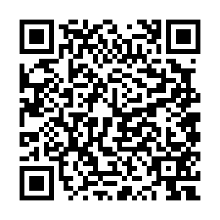 QR code for plate NZF-0533