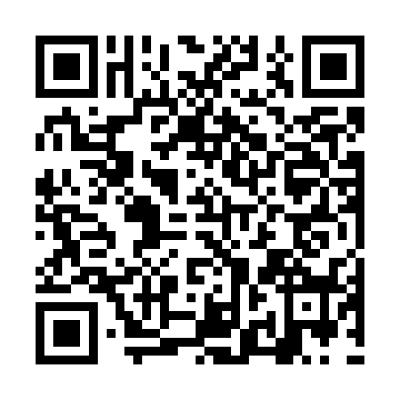 QR code for NZN-7381