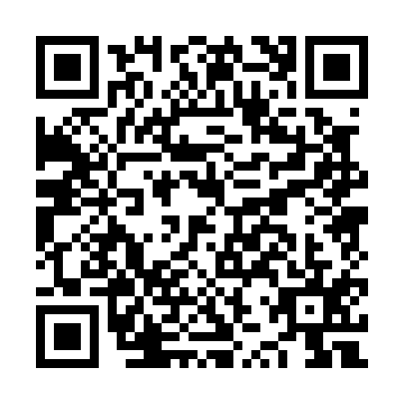 QR code for plate NZP-0159