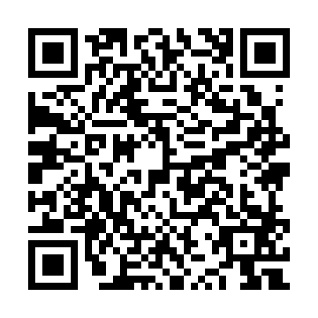 QR code for NZY3833