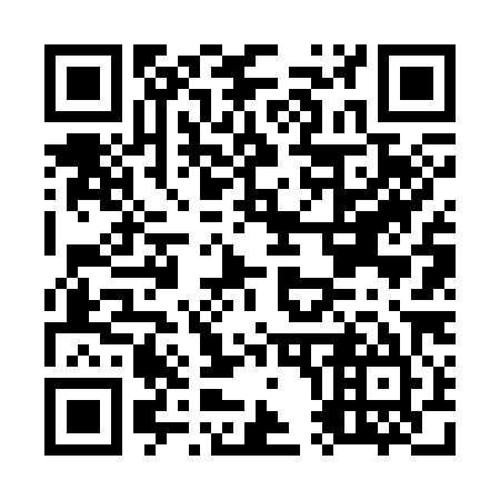 QR code for O06385