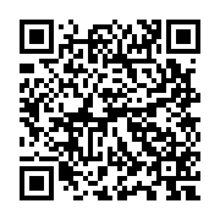 QR code for O13155