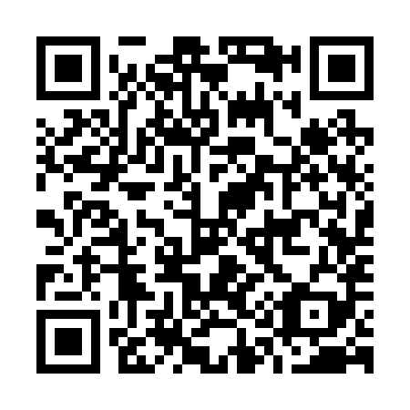 QR code for O13289