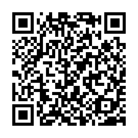QR code for O13399