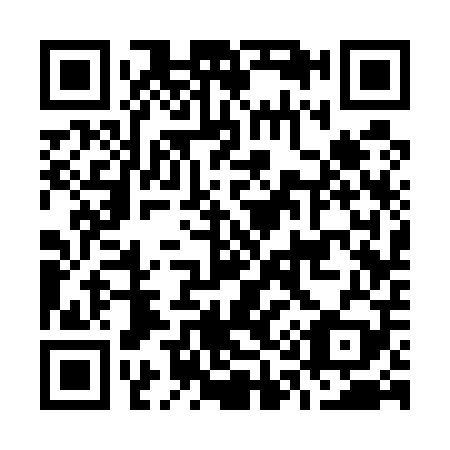 QR code for O13509