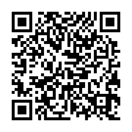 QR code for O17333