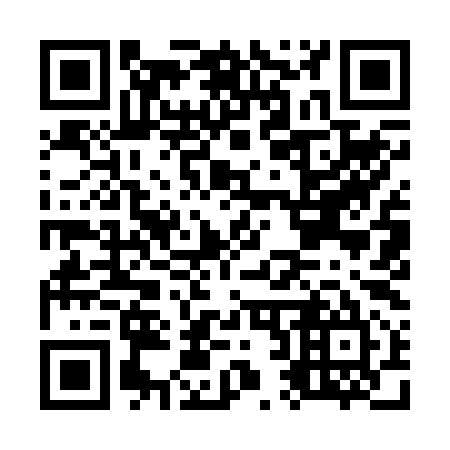 QR code for O29295