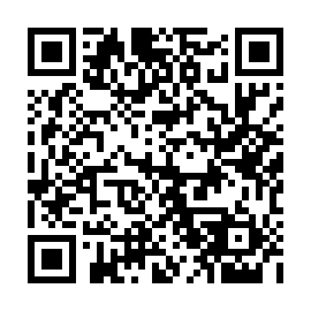 QR code for O29511