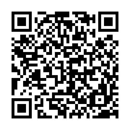 QR code for O29596