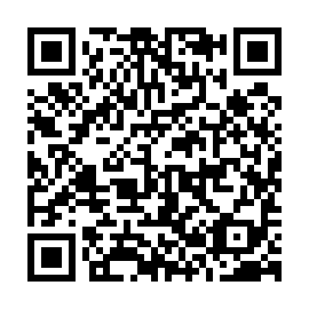 QR code for O29599