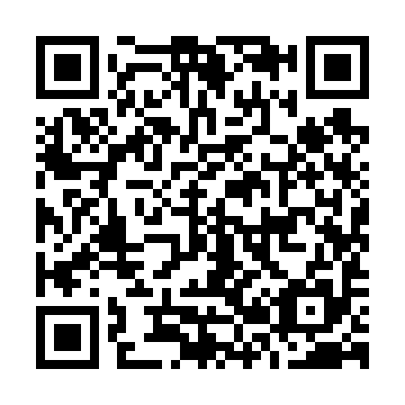QR code for O29695