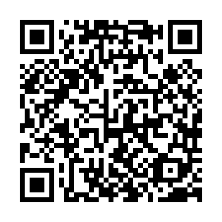 QR code for O38049