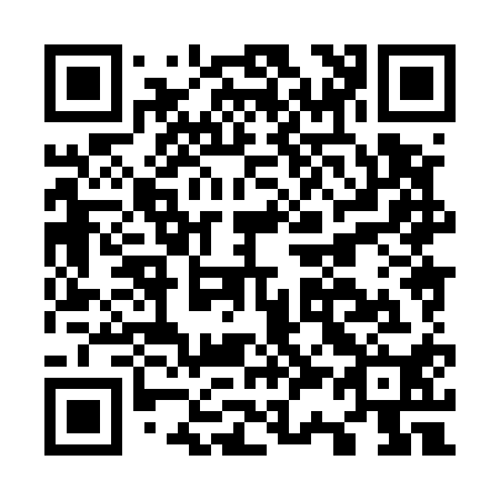 QR code for O38510