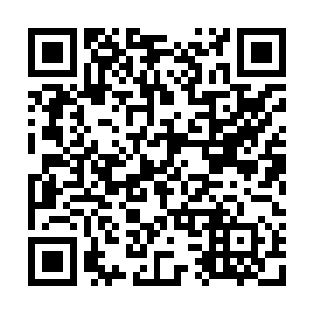 QR code for O38850