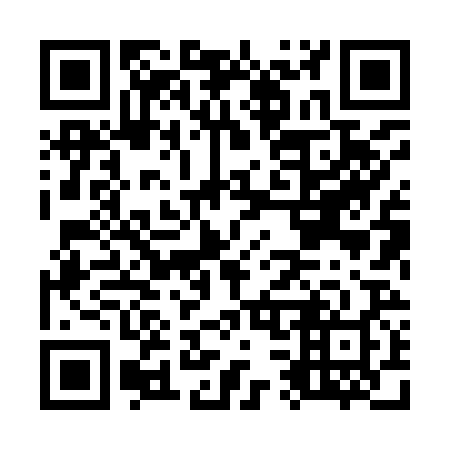 QR code for O38928
