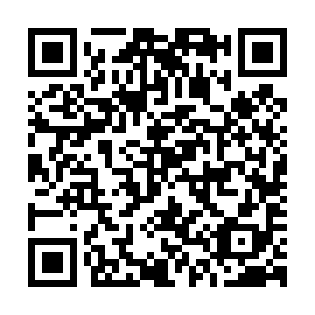 QR code for O46498
